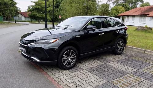 国产12p,引领科技潮流的创新之作